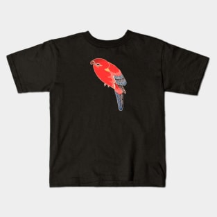 Awesome Cute Parrot Color Shirt For Parrot Lover Kids T-Shirt